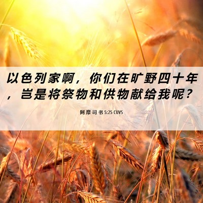 Picture 06 - 阿 摩 司 书 5:25 CUVS - 以 色 列 家 啊 ， 你 们 在 旷 野 四 - Bible Verse Picture