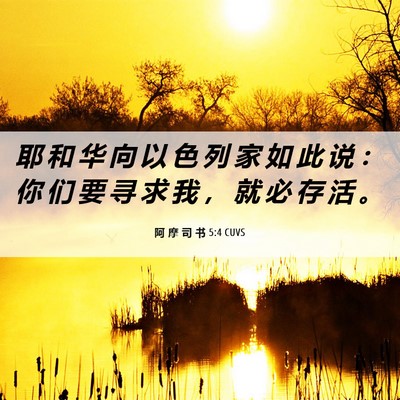 Picture 06 - 阿 摩 司 书 5:4 CUVS - 耶 和 华 向 以 色 列 家 如 此 说 ： - Bible Verse Picture