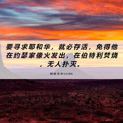 Picture 06 - 阿 摩 司 书 5:6 CUVS - 要 寻 求 耶 和 华 ， 就 必 存 活 ， - Bible Verse Picture
