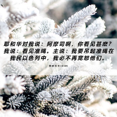 Picture 06 - 阿 摩 司 书 7:8 CUVS - 耶 和 华 对 我 说 ： 阿 摩 司 啊 ， - Bible Verse Picture
