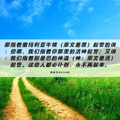 Picture 06 - 阿 摩 司 书 8:14 CUVS - 那 指 着 撒 玛 利 亚 牛 犊 （ 原 文 - Bible Verse Picture