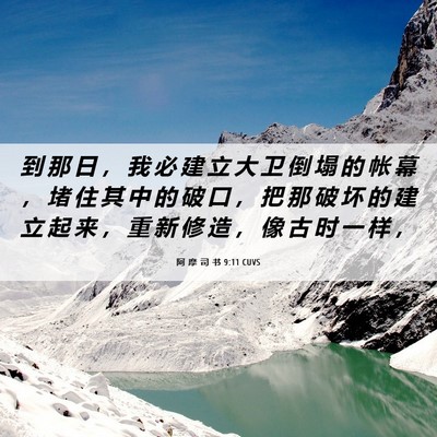 Picture 06 - 阿 摩 司 书 9:11 CUVS - 到 那 日 ， 我 必 建 立 大 卫 倒 塌 - Bible Verse Picture