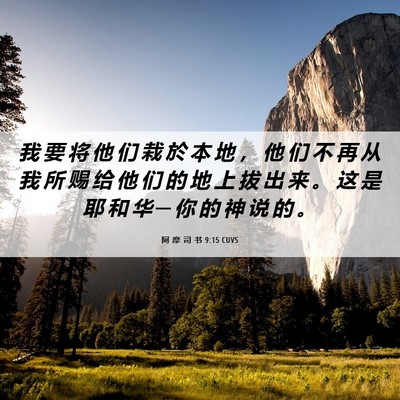Picture 06 - 阿 摩 司 书 9:15 CUVS - 我 要 将 他 们 栽 於 本 地 ， 他 们 - Bible Verse Picture