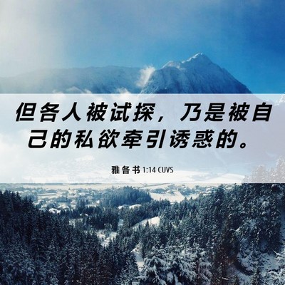 Picture 06 - 雅 各 书 1:14 CUVS - 但 各 人 被 试 探 ， 乃 是 被 自 己 - Bible Verse Picture