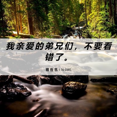 Picture 06 - 雅 各 书 1:16 CUVS - 我 亲 爱 的 弟 兄 们 ， 不 要 看 错 - Bible Verse Picture