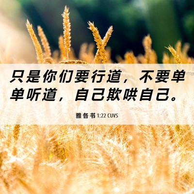 Picture 06 - 雅 各 书 1:22 CUVS - 只 是 你 们 要 行 道 ， 不 要 单 单 - Bible Verse Picture