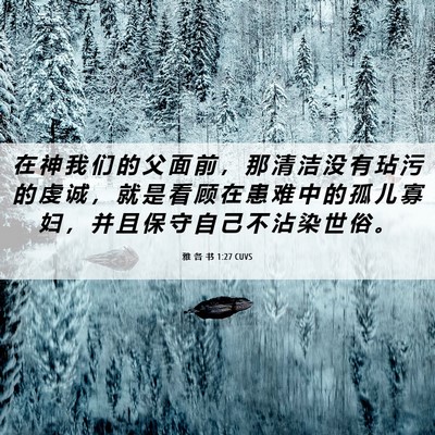 Picture 06 - 雅 各 书 1:27 CUVS - 在 神 我 们 的 父 面 前 ， 那 清 洁 - Bible Verse Picture
