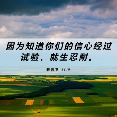 Picture 06 - 雅 各 书 1:3 CUVS - 因 为 知 道 你 们 的 信 心 经 过 试 - Bible Verse Picture