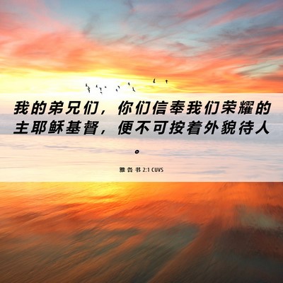 Picture 06 - 雅 各 书 2:1 CUVS - 我 的 弟 兄 们 ， 你 们 信 奉 我 们 - Bible Verse Picture