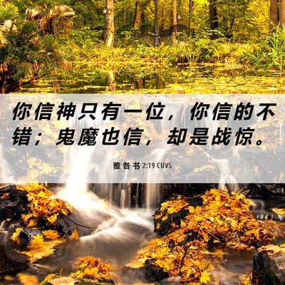Picture 06 - 雅 各 书 2:19 CUVS - 你 信 神 只 有 一 位 ， 你 信 的 不 - Bible Verse Picture