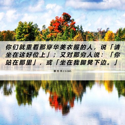 Picture 06 - 雅 各 书 2:3 CUVS - 你 们 就 重 看 那 穿 华 美 衣 服 的 - Bible Verse Picture