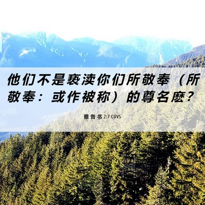 Picture 06 - 雅 各 书 2:7 CUVS - 他 们 不 是 亵 渎 你 们 所 敬 奉 （ - Bible Verse Picture