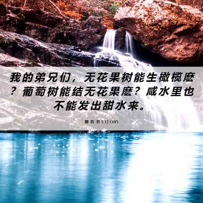 Picture 06 - 雅 各 书 3:12 CUVS - 我 的 弟 兄 们 ， 无 花 果 树 能 生 - Bible Verse Picture