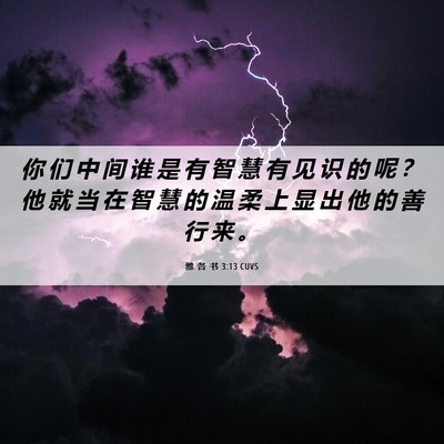 Picture 06 - 雅 各 书 3:13 CUVS - 你 们 中 间 谁 是 有 智 慧 有 见 识 - Bible Verse Picture