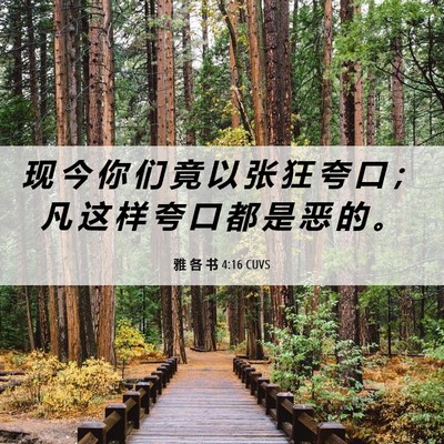Picture 06 - 雅 各 书 4:16 CUVS - 现 今 你 们 竟 以 张 狂 夸 口 ； 凡 - Bible Verse Picture