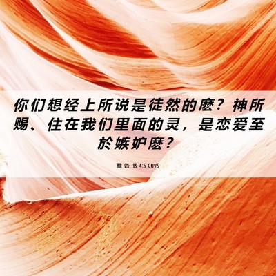 Picture 06 - 雅 各 书 4:5 CUVS - 你 们 想 经 上 所 说 是 徒 然 的 麽 - Bible Verse Picture