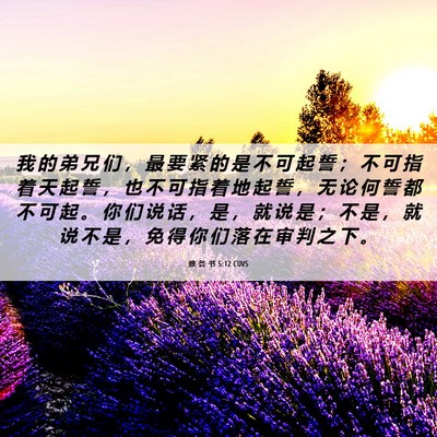 Picture 06 - 雅 各 书 5:12 CUVS - 我 的 弟 兄 们 ， 最 要 紧 的 是 不 - Bible Verse Picture