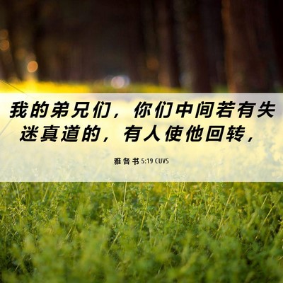 Picture 06 - 雅 各 书 5:19 CUVS - 我 的 弟 兄 们 ， 你 们 中 间 若 有 - Bible Verse Picture