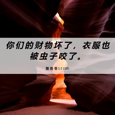 Picture 06 - 雅 各 书 5:2 CUVS - 你 们 的 财 物 坏 了 ， 衣 服 也 被 - Bible Verse Picture