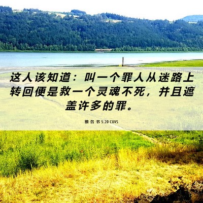 Picture 06 - 雅 各 书 5:20 CUVS - 这 人 该 知 道 ： 叫 一 个 罪 人 从 - Bible Verse Picture