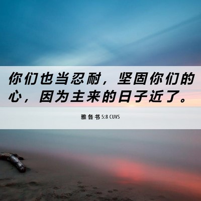 Picture 06 - 雅 各 书 5:8 CUVS - 你 们 也 当 忍 耐 ， 坚 固 你 们 的 - Bible Verse Picture