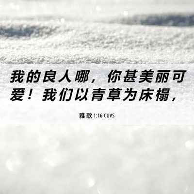 Picture 06 - 雅 歌 1:16 CUVS - 我 的 良 人 哪 ， 你 甚 美 丽 可 爱 - Bible Verse Picture
