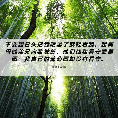 Picture 06 - 雅 歌 1:6 CUVS - 不 要 因 日 头 把 我 晒 黑 了 就 轻 - Bible Verse Picture