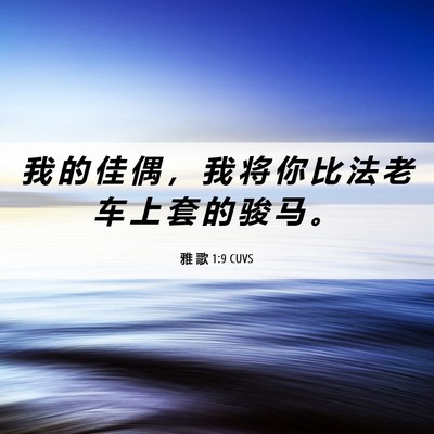 Picture 06 - 雅 歌 1:9 CUVS - 我 的 佳 偶 ， 我 将 你 比 法 老 车 - Bible Verse Picture