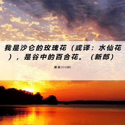 Picture 06 - 雅 歌 2:1 CUVS - 我 是 沙 仑 的 玫 瑰 花 （ 或 译 ： - Bible Verse Picture