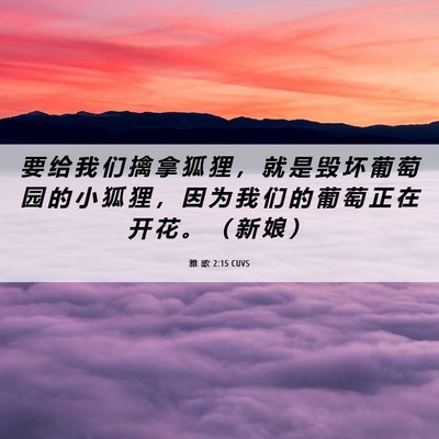 Picture 06 - 雅 歌 2:15 CUVS - 要 给 我 们 擒 拿 狐 狸 ， 就 是 毁 - Bible Verse Picture