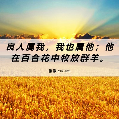 Picture 06 - 雅 歌 2:16 CUVS - 良 人 属 我 ， 我 也 属 他 ； 他 在 - Bible Verse Picture