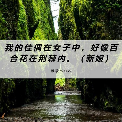 Picture 06 - 雅 歌 2:2 CUVS - 我 的 佳 偶 在 女 子 中 ， 好 像 百 - Bible Verse Picture