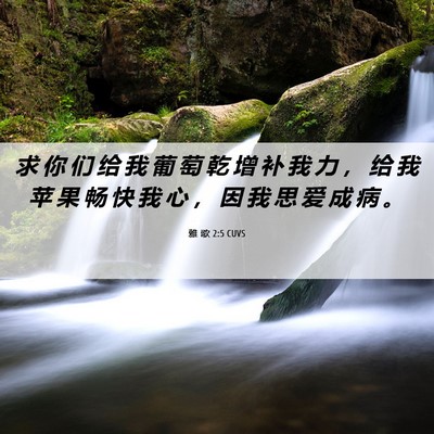 Picture 06 - 雅 歌 2:5 CUVS - 求 你 们 给 我 葡 萄 乾 增 补 我 力 - Bible Verse Picture