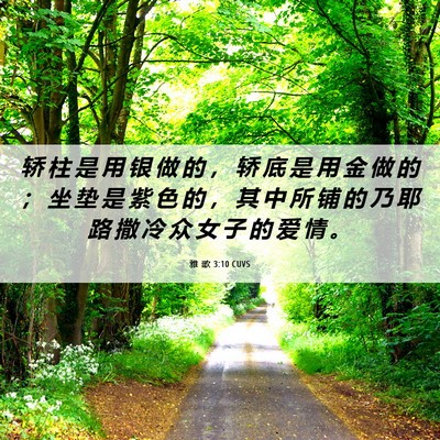 Picture 06 - 雅 歌 3:10 CUVS - 轿 柱 是 用 银 做 的 ， 轿 底 是 用 - Bible Verse Picture