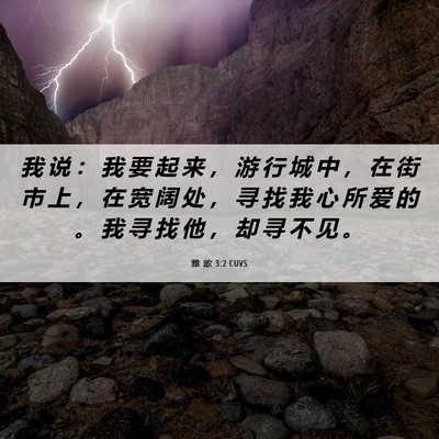 Picture 06 - 雅 歌 3:2 CUVS - 我 说 ： 我 要 起 来 ， 游 行 城 中 - Bible Verse Picture