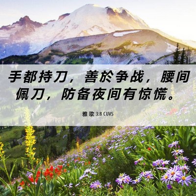 Picture 06 - 雅 歌 3:8 CUVS - 手 都 持 刀 ， 善 於 争 战 ， 腰 间 - Bible Verse Picture