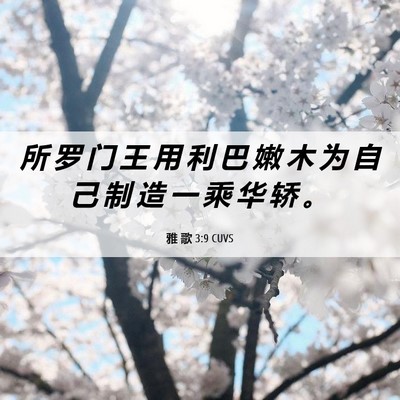 Picture 06 - 雅 歌 3:9 CUVS - 所 罗 门 王 用 利 巴 嫩 木 为 自 己 - Bible Verse Picture