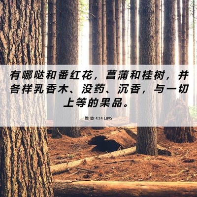 Picture 06 - 雅 歌 4:14 CUVS - 有 哪 哒 和 番 红 花 ， 菖 蒲 和 桂 - Bible Verse Picture