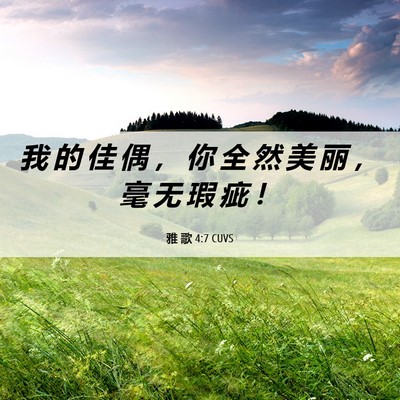 Picture 06 - 雅 歌 4:7 CUVS - 我 的 佳 偶 ， 你 全 然 美 丽 ， 毫 - Bible Verse Picture