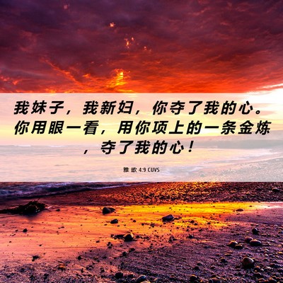 Picture 06 - 雅 歌 4:9 CUVS - 我 妹 子 ， 我 新 妇 ， 你 夺 了 我 - Bible Verse Picture