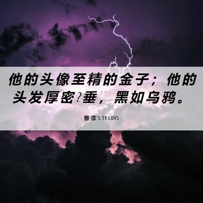 Picture 06 - 雅 歌 5:11 CUVS - 他 的 头 像 至 精 的 金 子 ； 他 的 - Bible Verse Picture