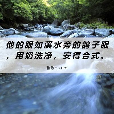 Picture 06 - 雅 歌 5:12 CUVS - 他 的 眼 如 溪 水 旁 的 鸽 子 眼 ， - Bible Verse Picture