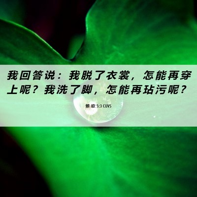 Picture 06 - 雅 歌 5:3 CUVS - 我 回 答 说 ： 我 脱 了 衣 裳 ， 怎 - Bible Verse Picture