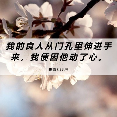 Picture 06 - 雅 歌 5:4 CUVS - 我 的 良 人 从 门 孔 里 伸 进 手 来 - Bible Verse Picture