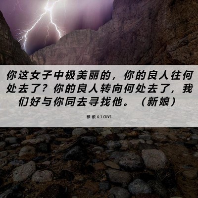 Picture 06 - 雅 歌 6:1 CUVS - 你 这 女 子 中 极 美 丽 的 ， 你 的 - Bible Verse Picture