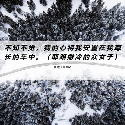 Picture 06 - 雅 歌 6:12 CUVS - 不 知 不 觉 ， 我 的 心 将 我 安 置 - Bible Verse Picture