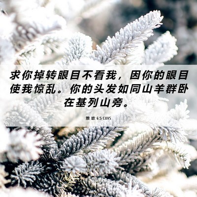 Picture 06 - 雅 歌 6:5 CUVS - 求 你 掉 转 眼 目 不 看 我 ， 因 你 - Bible Verse Picture