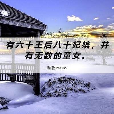 Picture 06 - 雅 歌 6:8 CUVS - 有 六 十 王 后 八 十 妃 嫔 ， 并 有 - Bible Verse Picture