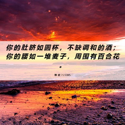 Picture 06 - 雅 歌 7:2 CUVS - 你 的 肚 脐 如 圆 杯 ， 不 缺 调 和 - Bible Verse Picture