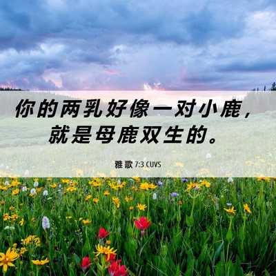 Picture 06 - 雅 歌 7:3 CUVS - 你 的 两 乳 好 像 一 对 小 鹿 ， 就 - Bible Verse Picture